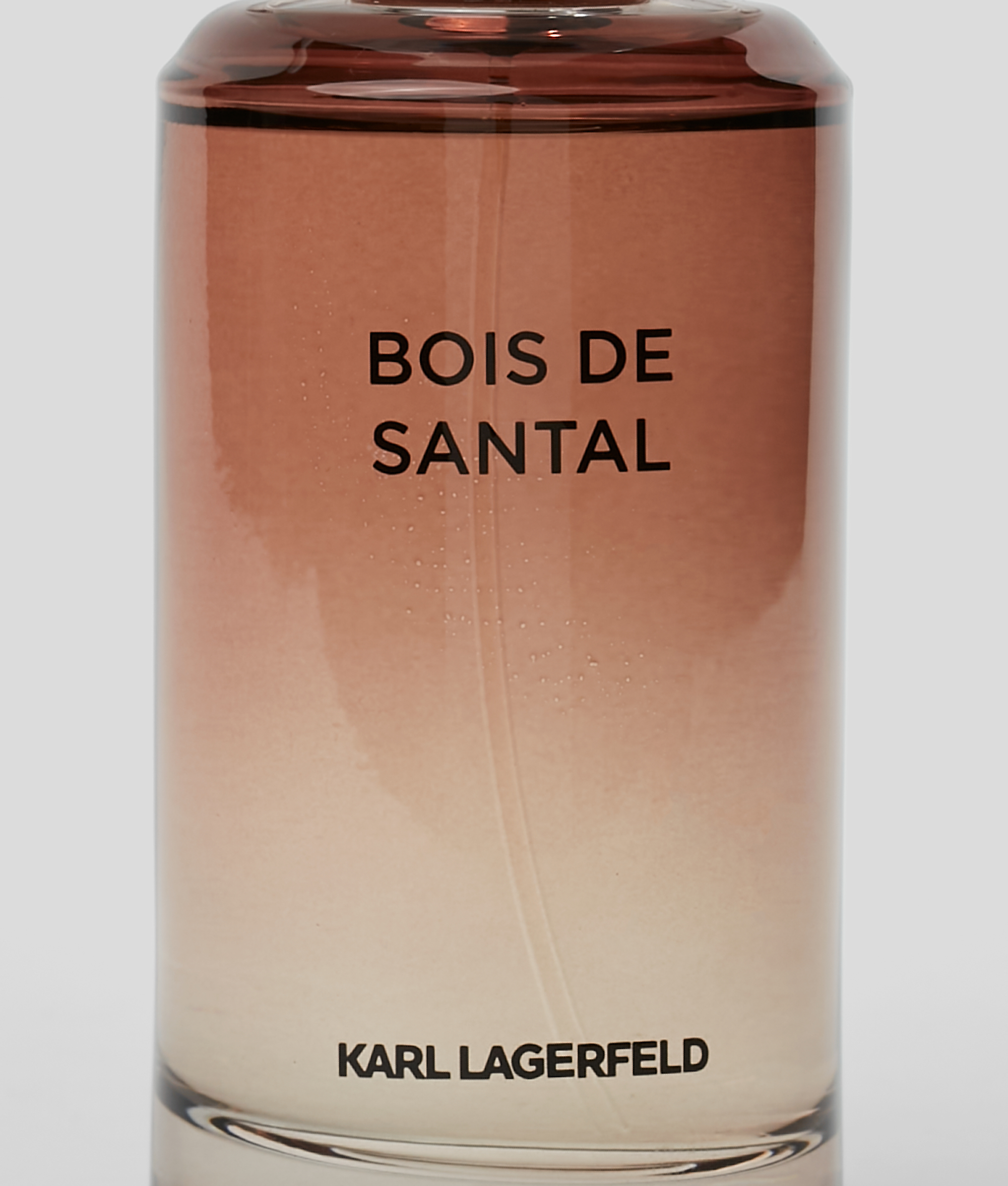Karl Lagerfeld Bois De Santal (sandelholz) In Multi