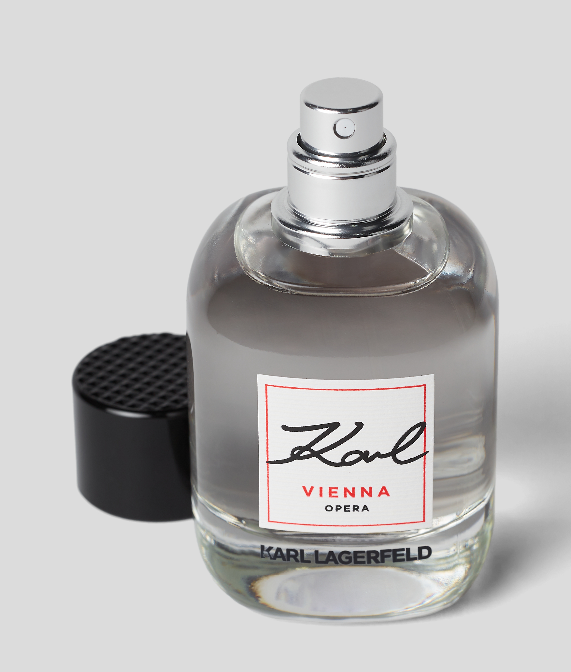 Karl Lagerfeld Vienna In Gray