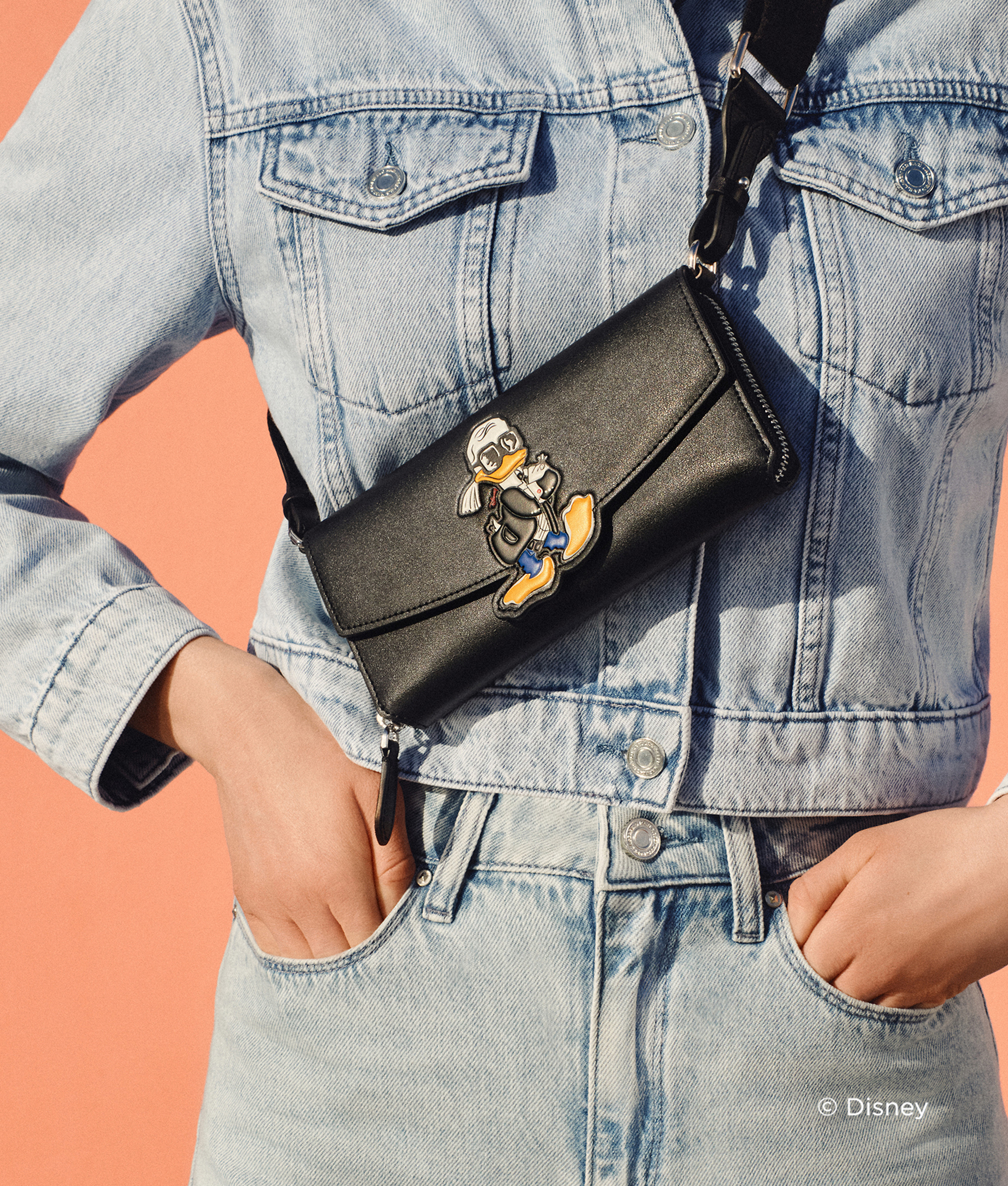 Karl Lagerfeld Disney X Kl Crossbody Wallet