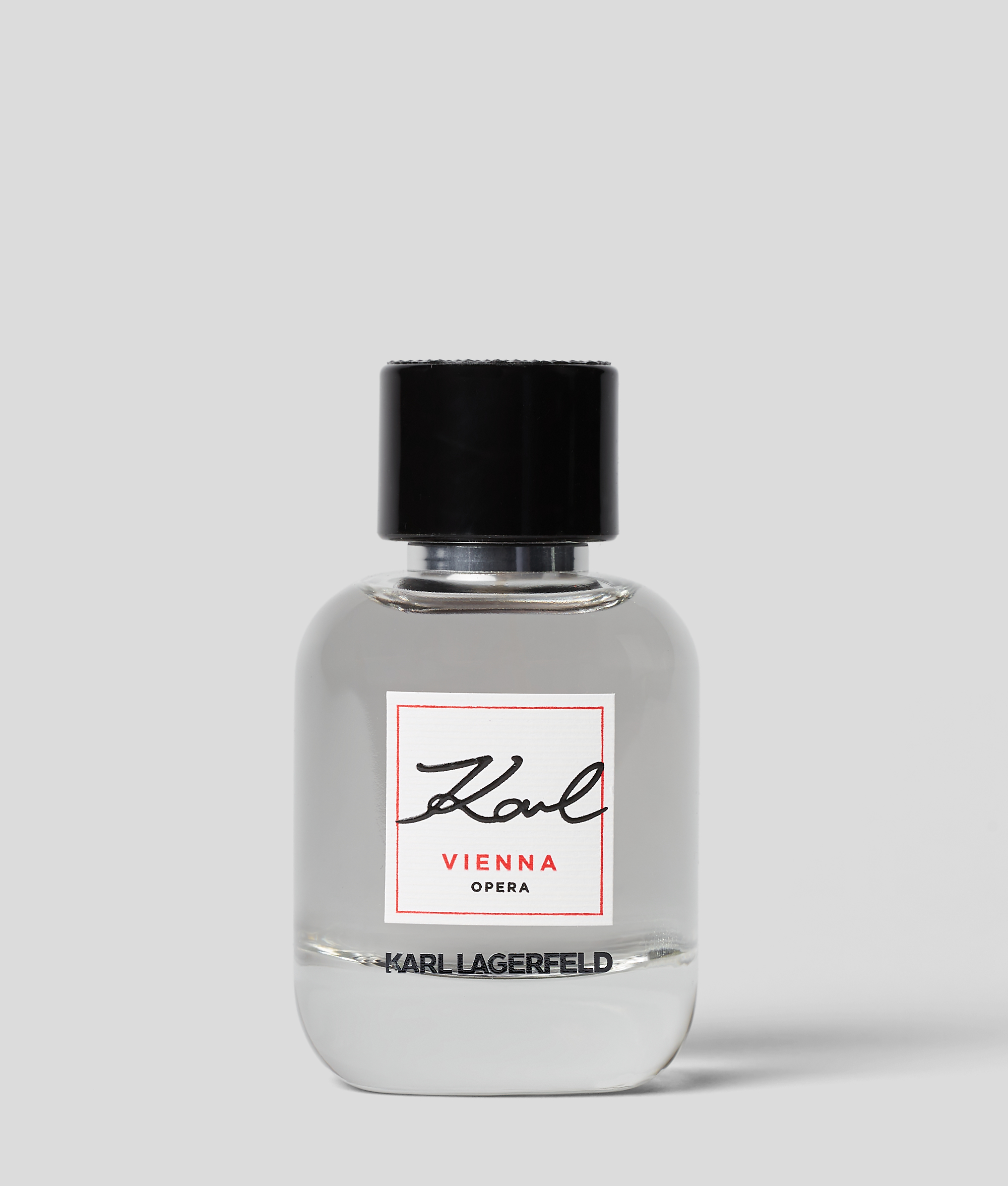 Karl Lagerfeld Vienna In Gray