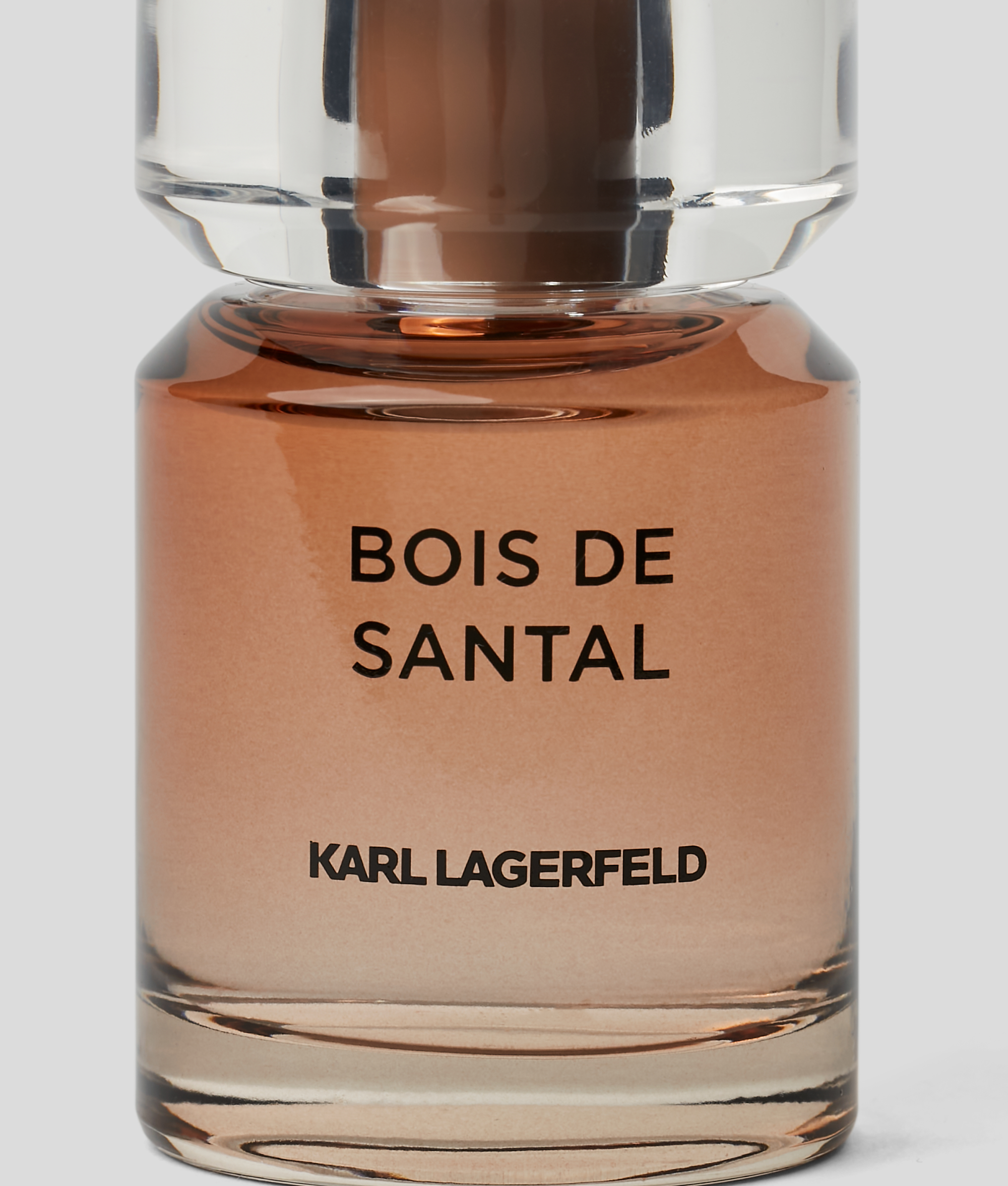 Karl Lagerfeld Bois De Santal (sandelholz) In Multi